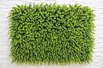 6月美国软件销量榜 《瑞奇与叮当：分离》登顶